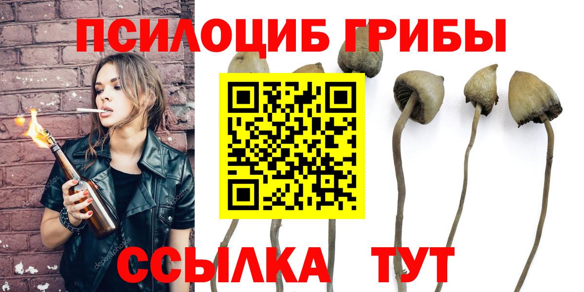 Сосновоборск  Псилоцибиновые грибы ЛСД  Вход с VPN 
